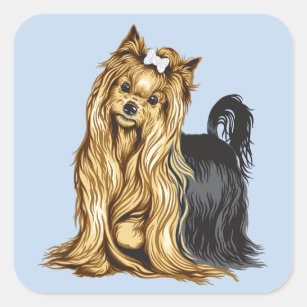 yorkshire terrier square sticker