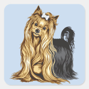 yorkshire terrier square sticker