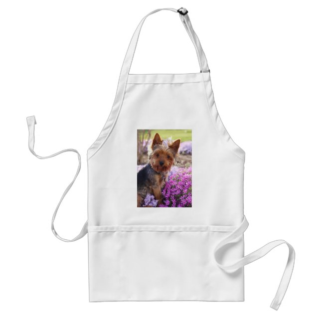 Yorkshire Terrier Standard Apron (Front)