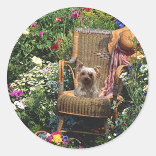 Yorkshire Terrier Sticker Garden