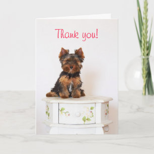 Yorkshire Terrier Thank You Card