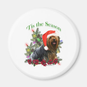 Yorkshire Terrier ‘Tis Magnet