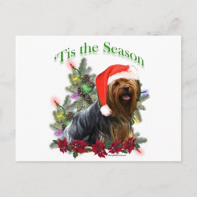 Yorkshire Terrier ‘Tis Postcard (Front)