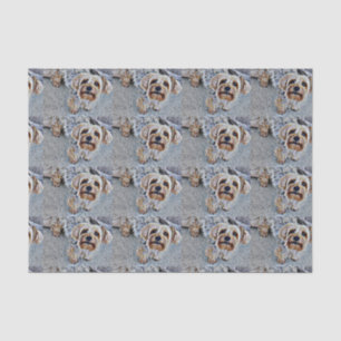 Yorkshire Terrier Tissue Paper