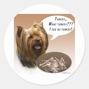 Yorkshire Terrier Turkey Classic Round Sticker