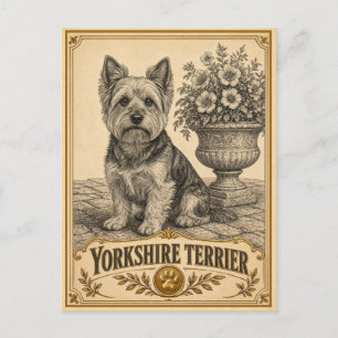 Yorkshire Terrier, Vintage Heritage Dog Postcard