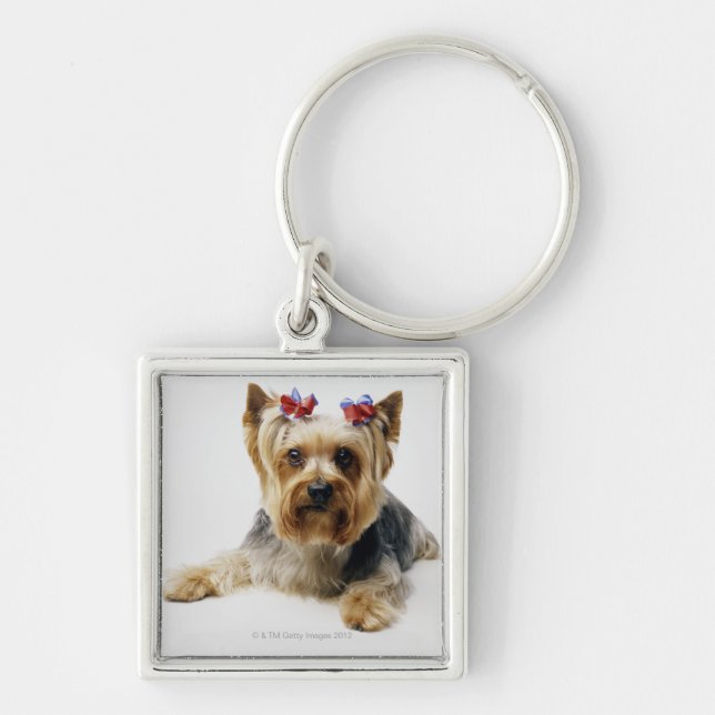 Yorkshire terrier wearing red bows key ring (Front)