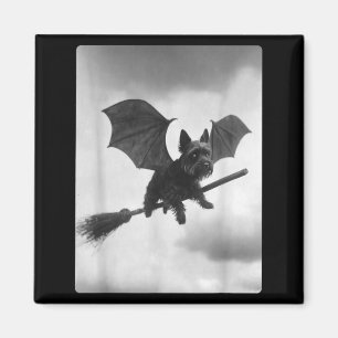 Yorkshire Terrier Witch Broom Bat Wings Spooky Magnet