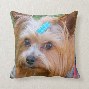 Yorkshire Terrier Yorkie Favourite Breed Cushion