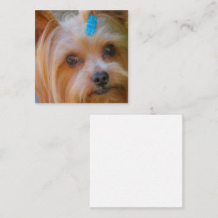 Yorkshire Terrier Yorkie Favourite Breed Enclosure Card