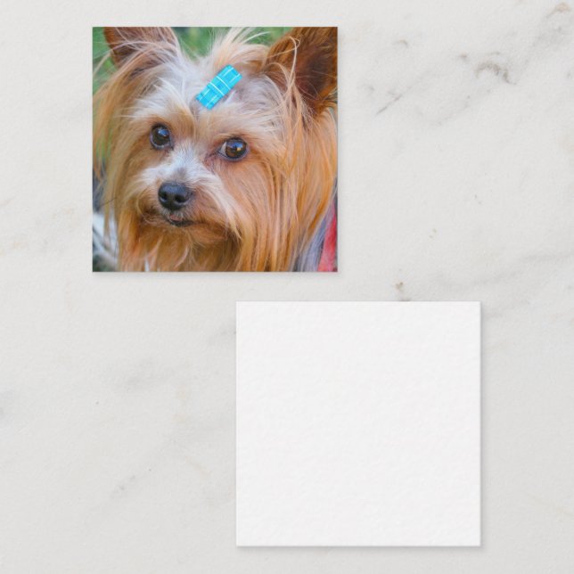 Yorkshire Terrier Yorkie Favourite Breed Enclosure Card (Front/Back)
