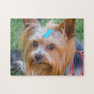 Yorkshire Terrier Yorkie Favourite Breed Jigsaw Puzzle