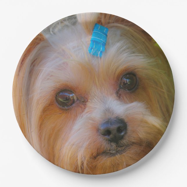 Yorkshire Terrier Yorkie Favourite Breed Paper Plate (Front)