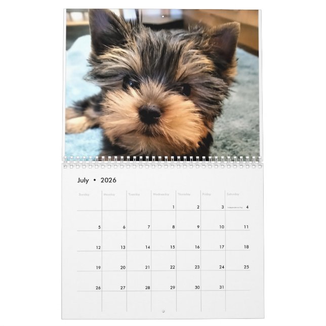 Yorkshire Terrier Yorkies  2022 Calendar (Jul 2026)