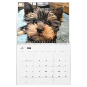 Yorkshire Terrier Yorkies  2022 Calendar
