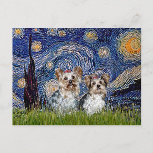 Yorkshire Terriers (13 and 15) - Starry Night Postcard (Front)