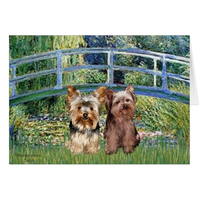 Yorkshire Terriers (17-18) - Bridge (Front Horizontal)