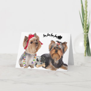Yorkshire Terriers Believe  In Santa Cards