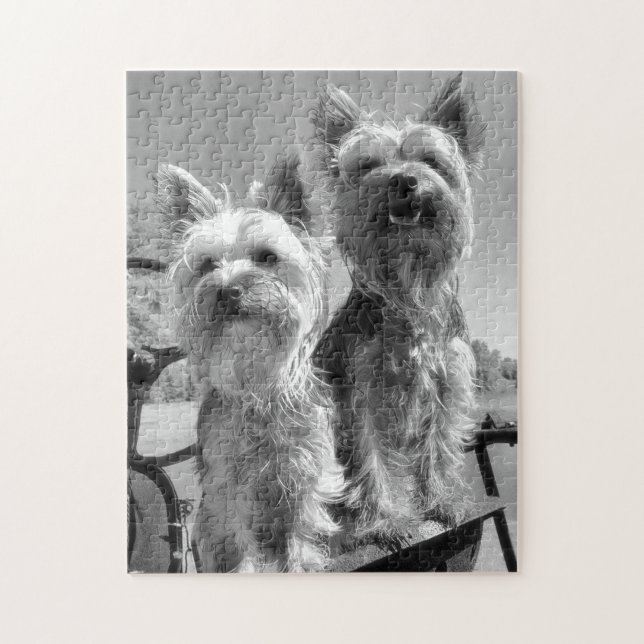 Yorkshire Terriers, Black and White, Jigsaw Puzzle (Vertical)