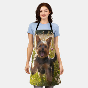 Yorkshire Terriers Playing in the Grass Apron