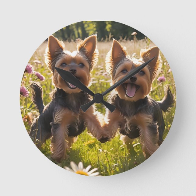 Yorkshire Terriers Playing in the Grass Round Clock (Front)
