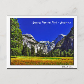 Yosemite (California) Postcard