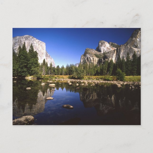 Yosemite California Postcard (Front)