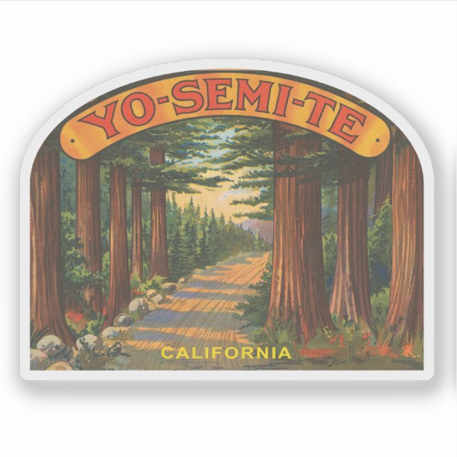 Yosemite California vintage forest scene (Front)