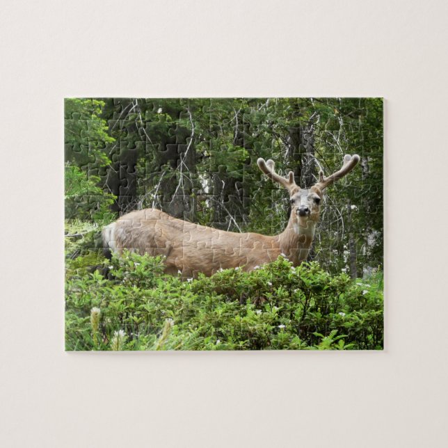Yosemite Deer Nature Photography Jigsaw Puzzle (Horizontal)