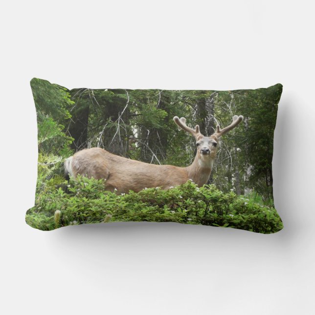 Yosemite Deer Nature Photography Lumbar Cushion (Front)