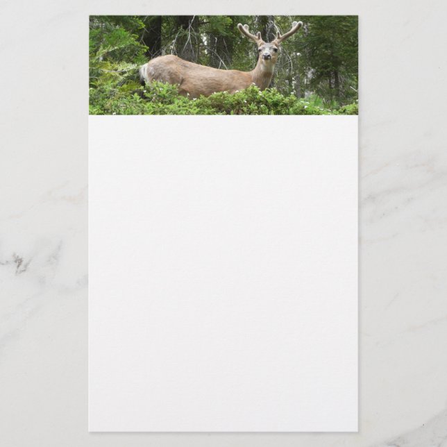 Yosemite Deer Nature Photography Stationery (Front)