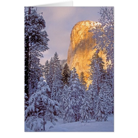 Yosemite - El Capitan lit by sunlight Card