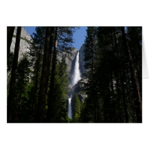 Yosemite Falls and Woods Landscape Photography