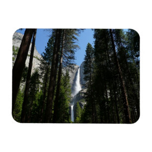 Yosemite Falls and Woods Landscape Photography Magnet