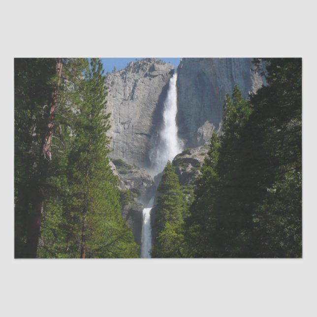 Yosemite Falls II from Yosemite National Park Tissue Paper (Front)