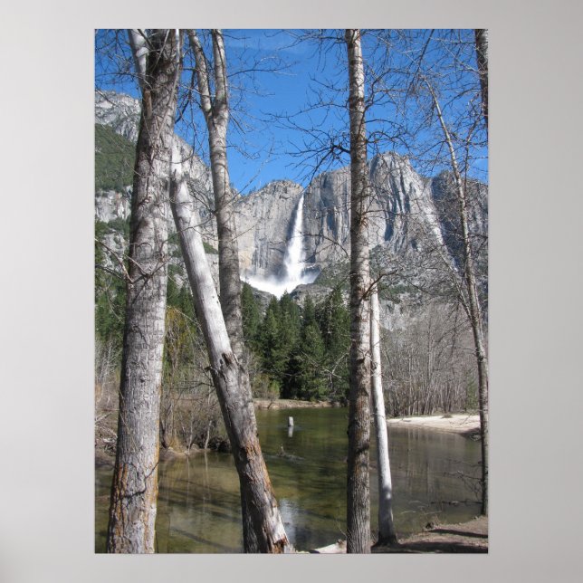 Yosemite Falls Poster (Front)