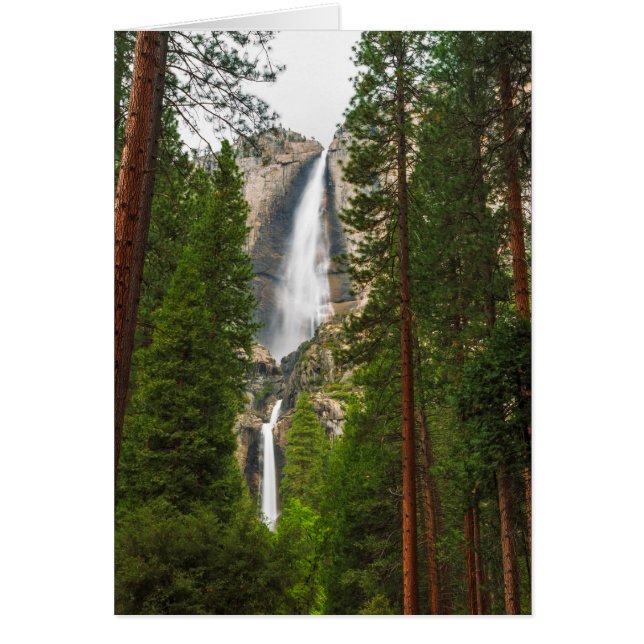 Yosemite Falls through the Forest (Front)