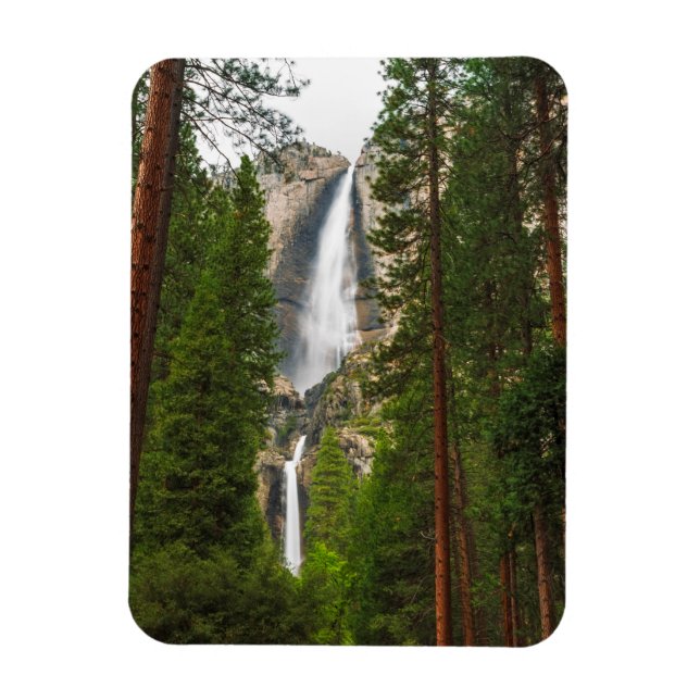 Yosemite Falls through the Forest Magnet (Vertical)