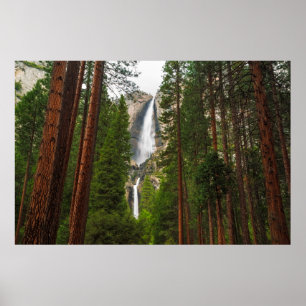 Yosemite Falls through the Forest Poster