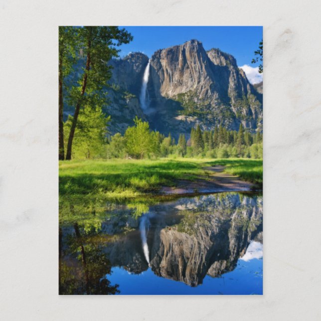 Yosemite Falls | Yosemite National Park Postcard (Front)