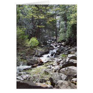 Yosemite in Springtime: Bridalveil Falls Trail