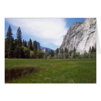 Yosemite in Springtime: Meadow View