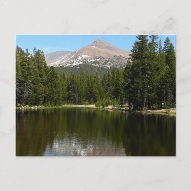 Yosemite Lake Reflection Postcard (Front)