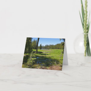 Yosemite Meadow with Shooting Stars Card