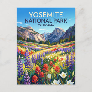 Yosemite National Park California Postcard