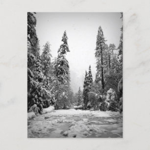 Yosemite National Park, California Postcard