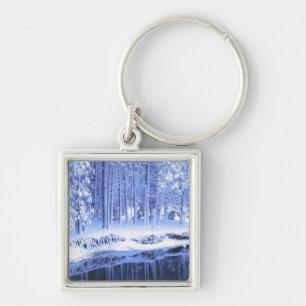 YOSEMITE NATIONAL PARK, CALIFORNIA. USA. Fresh Key Ring