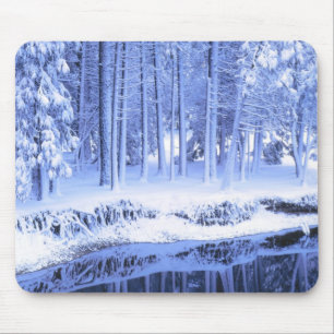 YOSEMITE NATIONAL PARK, CALIFORNIA. USA. Fresh Mouse Pad