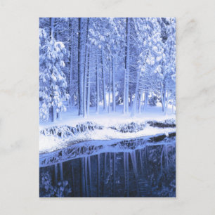 YOSEMITE NATIONAL PARK, CALIFORNIA. USA. Fresh Postcard