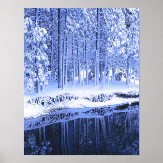 YOSEMITE NATIONAL PARK, CALIFORNIA. USA. Fresh Poster (Front)